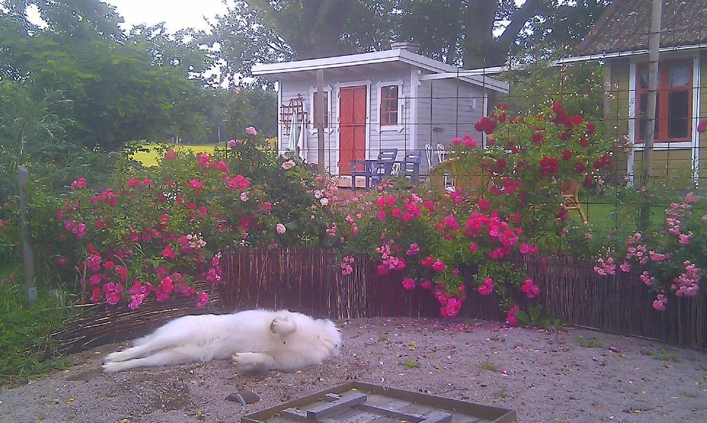 Borakra Bed & Breakfast Karlskrona Eksteriør bilde